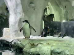 -南昌海洋公园