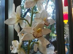 -金枝玉叶上海人家食府(三里河店)