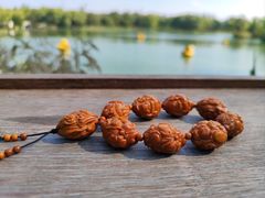 -北京金海湖景区