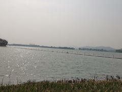 -渤公岛生态公园