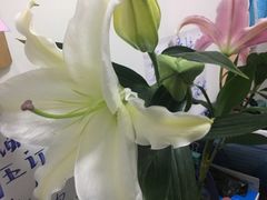 -水中仙东雅国际酒店(丹阳店)