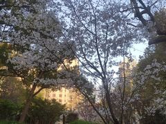 -徐家汇源景区-衡山公园