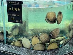 -渔码头食府(蓬莱阁店)