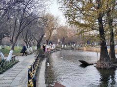 -莫愁湖公园