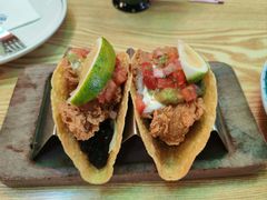 -Famous肥猫墨西哥音乐餐吧(五棵松华熙LIVE店)