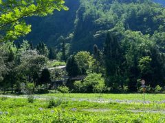 -鹿院坪生态旅游景区