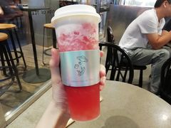 多肉瓜瓜-喜茶(中山白水井店)