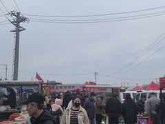 -蒲河大集