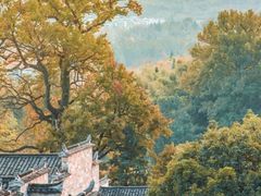 -塔川景区