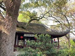 -上海醉白池公园