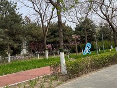 -大兴滨河森林公园