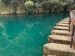 -大奇山国家森林公园