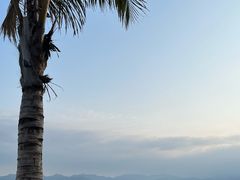 -玫瑰海岸文化旅游度假区