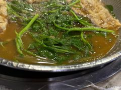 -东山羊庄(八卦岭店)