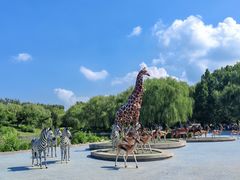 -北京野生动物园