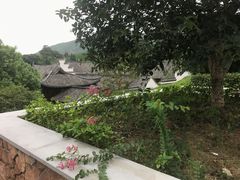 -帐篷客·溪龙茶谷度假酒店