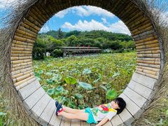 -红山村