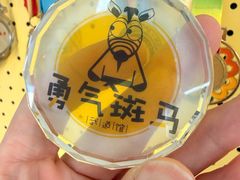 -勇气斑马·巴西柔术&跆拳道(浦东三林店)