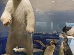 -国家自然博物馆