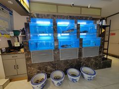-七味·用心做好鱼(花桥店)