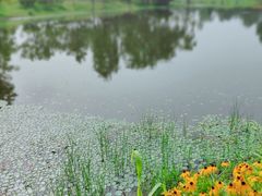 -东郊湿地公园