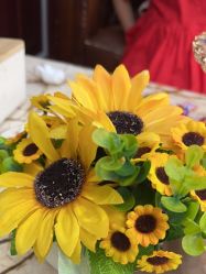 -南京医科大学友谊整形外科医院