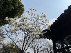 -拙政园