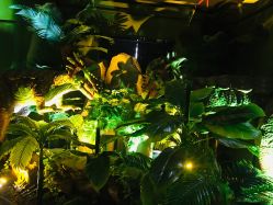 -恐龙探索乐园(磁器口店)