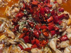 -美蛙四季(亦庄店)