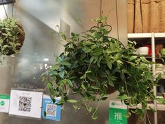 -双季花艺园艺市场(浦东店)