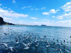 -海埂大坝