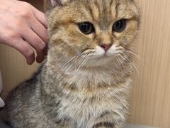 -瑞派康怡24h宠物医院·犬猫医疗中心·微创绝育(瑞景分院)