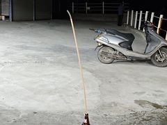 -胜海大排档·海鲜·黄鳝饭(十年老店)