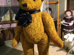 -济州岛泰迪熊博物馆