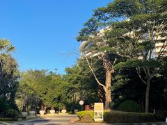 -天津湾西餐厅(三亚海棠湾洲际度假酒店)