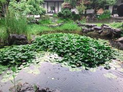 -日出青木·杭帮菜名店