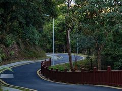 -黄埔油麻山森林公园