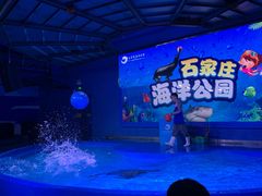 -石家庄海洋公园