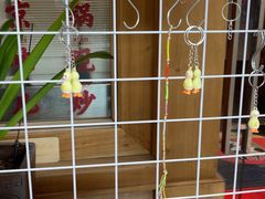 -小吊梨汤·北京菜·烤鸭(双井乐成中心店)