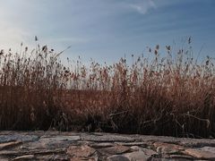 -洪泽湖古堰景区