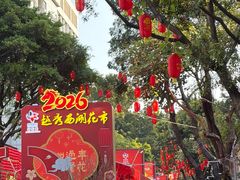 -越秀西湖花市(广州城市广场花卉店)