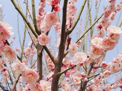 -蜀冈西峰生态公园