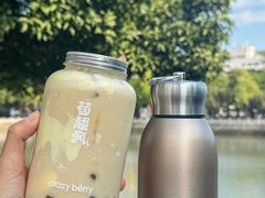 -莓超疯(百源店)