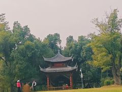 -东湖落雁景区