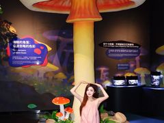 -厦门诚毅自然探索馆