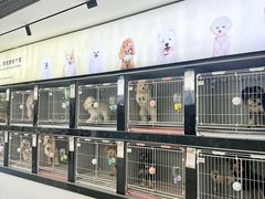 -翊宠yipet猫狗购宠庄园犬舍•猫舍