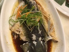 豉油皇蒸山坑鲩鱼-海晖酒楼·顺德鱼生(荣华店)