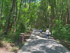 -同里国家湿地公园