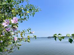 -池州市平天湖风景区