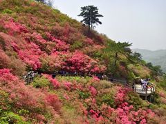 -木兰云雾山